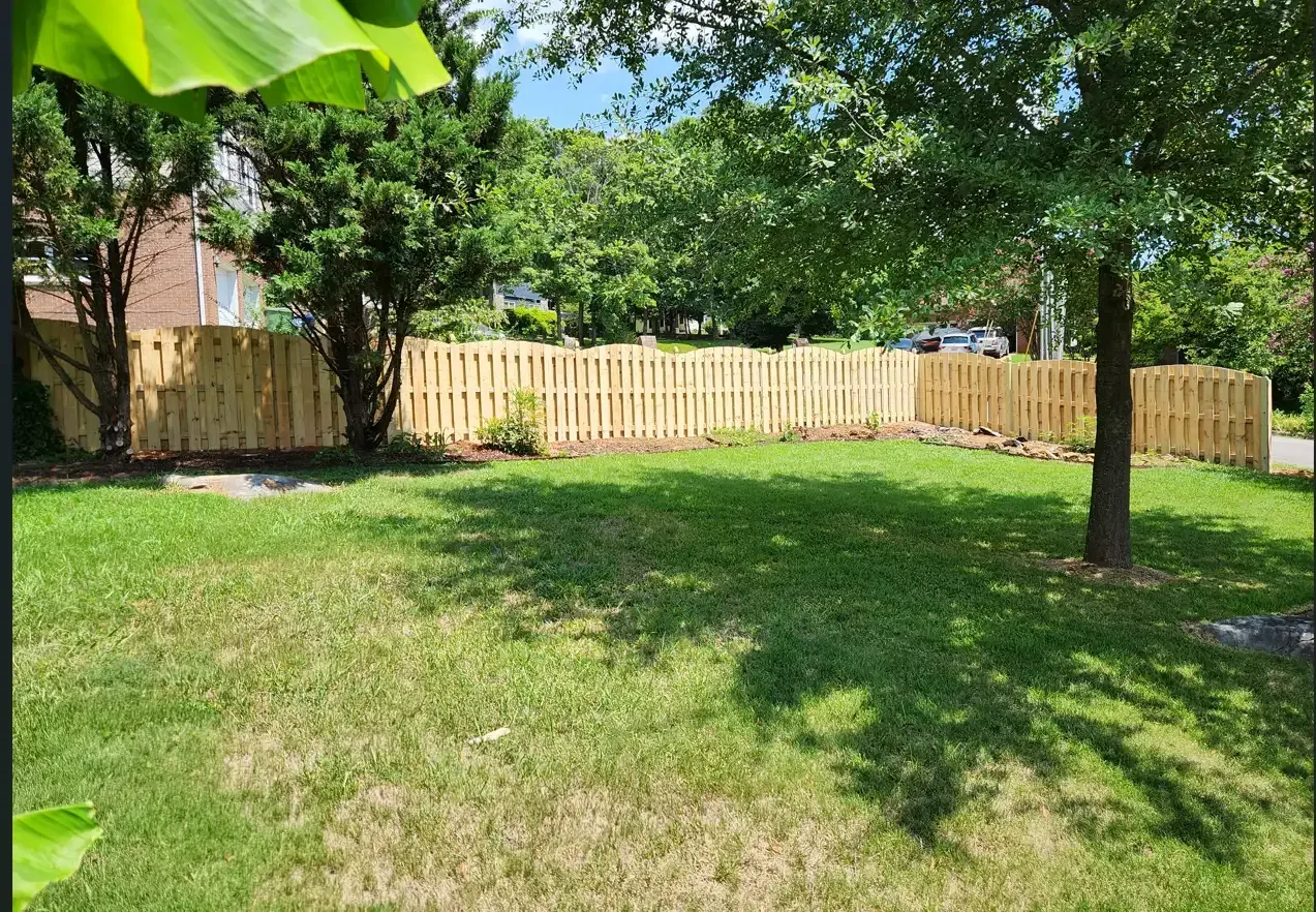 Sunny backyard with green grass, a wooden fence, and trees casting shade