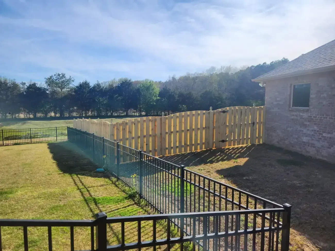 Backyard with black metal fence, wooden privacy fence, lawn, and brick house in sunlight