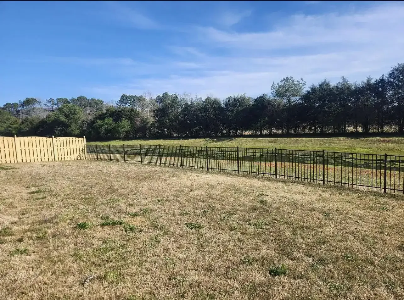 Grassy field with a wooden fence under a blue sky, bordered by trees in the distance