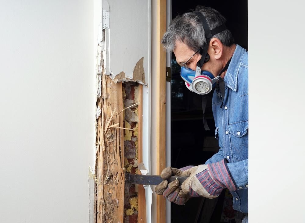 A Man Wearing a Gas Mask Is Working on A Termite Infested Wall — Natraspray Lismore in Wardell, NSW