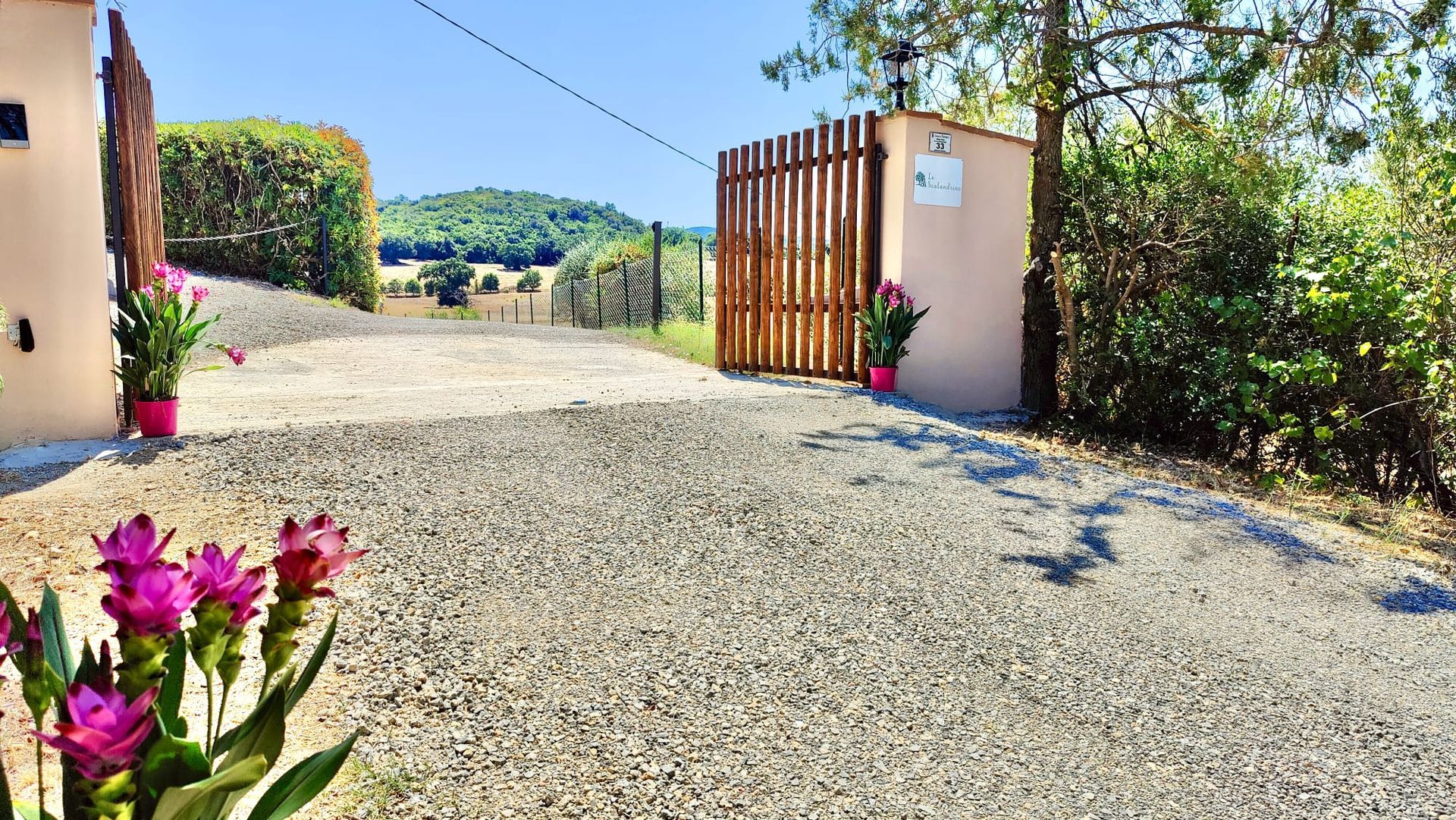 Gravel path leads into rolling Tuscan hills and olive groves under a bright blue sky