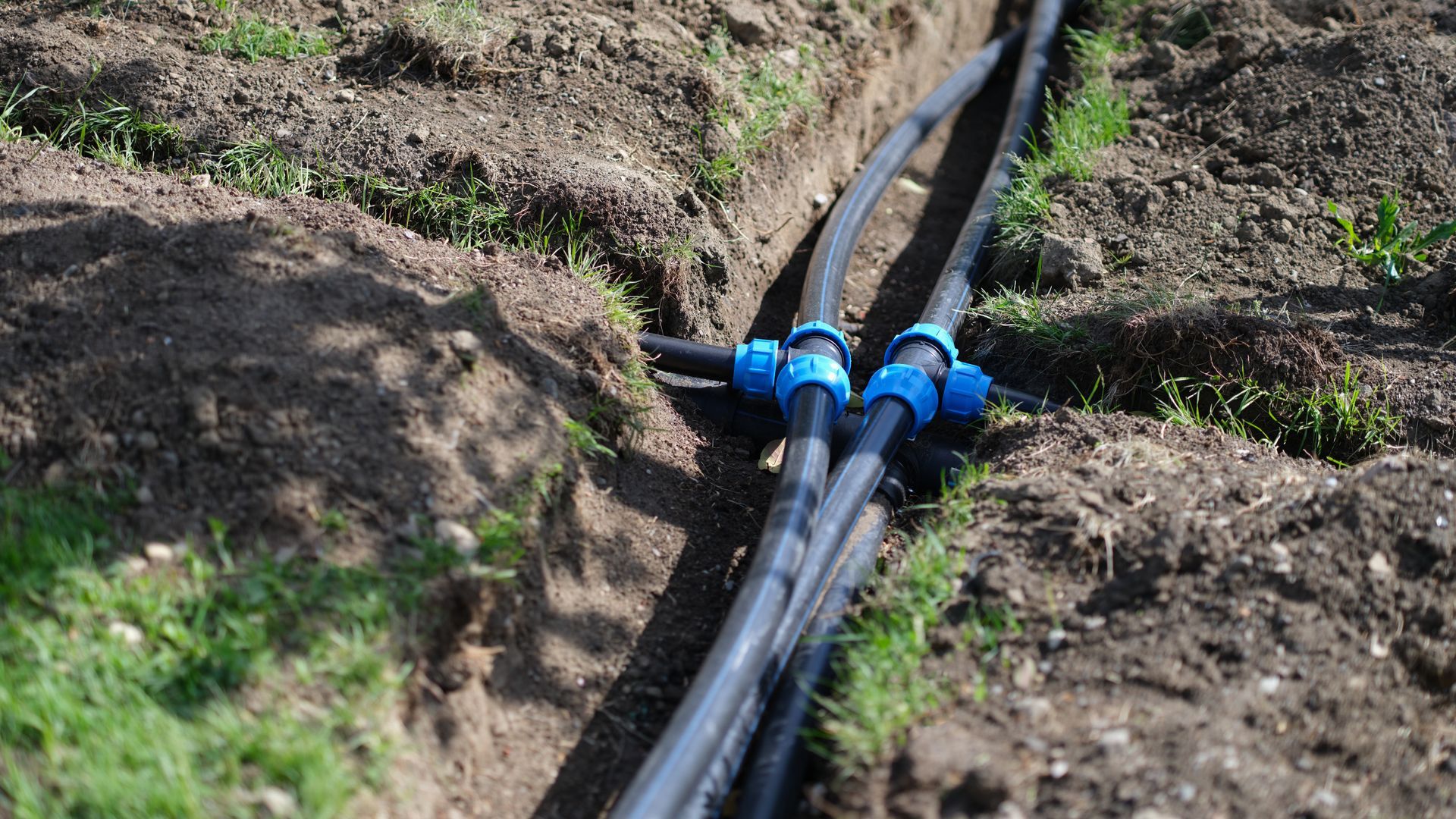 Black irrigation pipes connected by blue couplings lie inside a narrow trench in the soil.