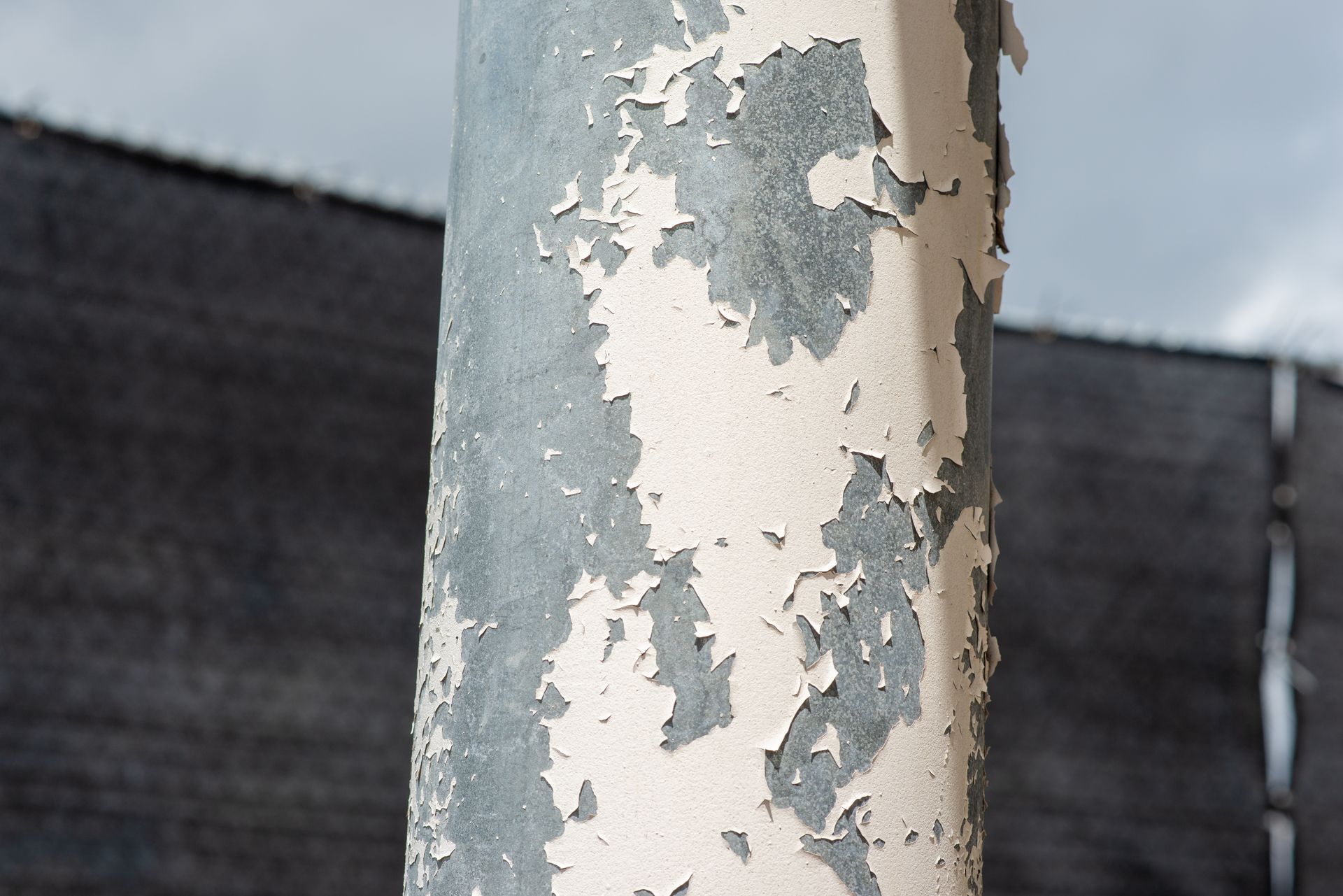 Close-up of white painted wood with peeling paint and exposed brown patches