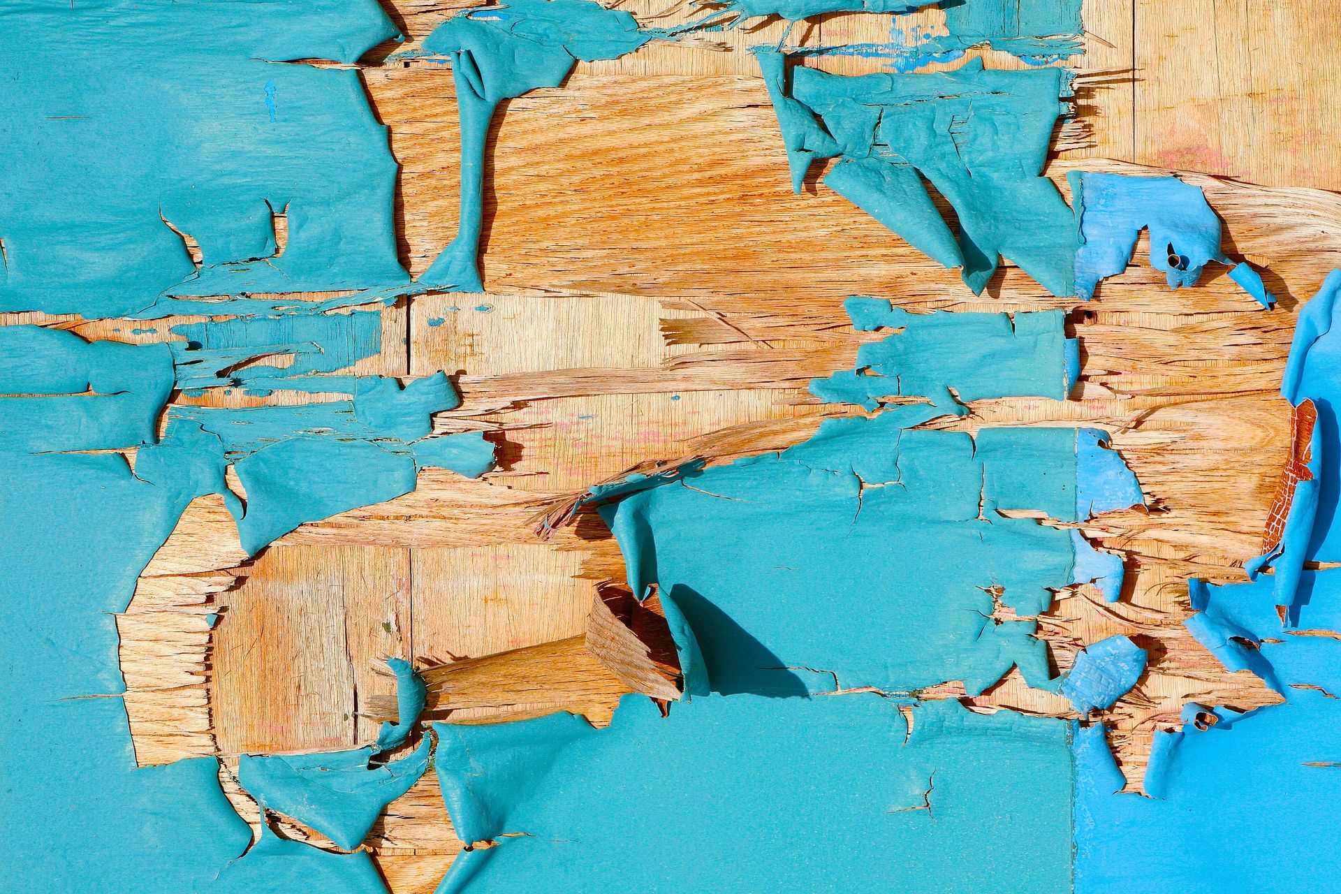 Peeling turquoise paint revealing rough tan wood underneath