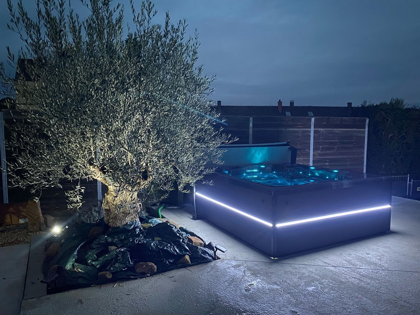 Au crépuscule, un olivier illuminé se dresse à côté d'un jacuzzi moderne et lumineux, installé sur une terrasse en béton.