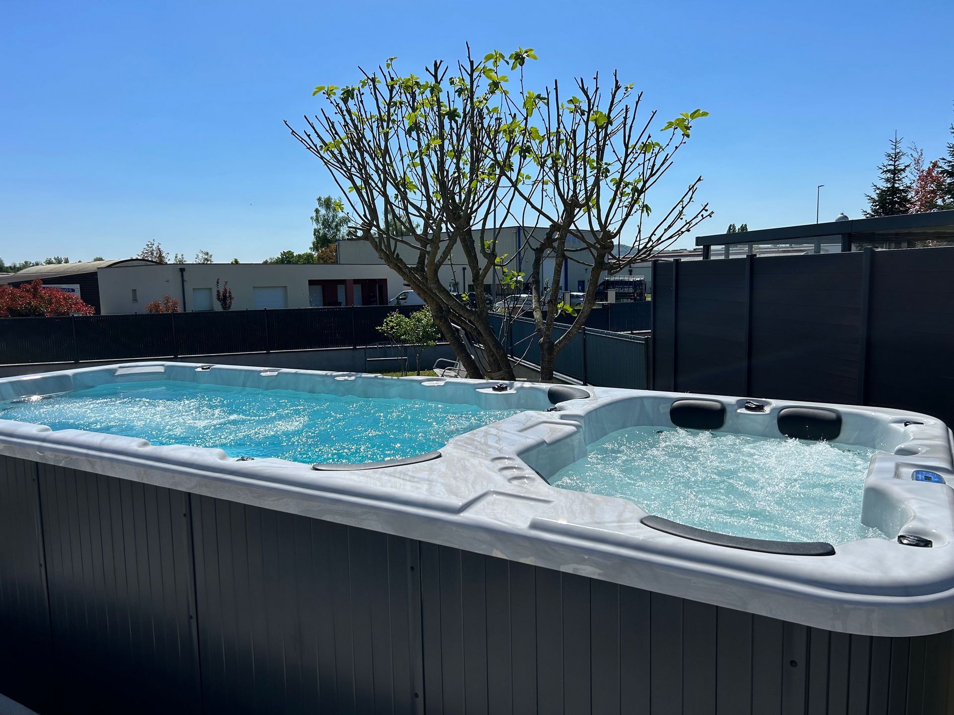 Une grande piscine avec un arbre en arrière-plan