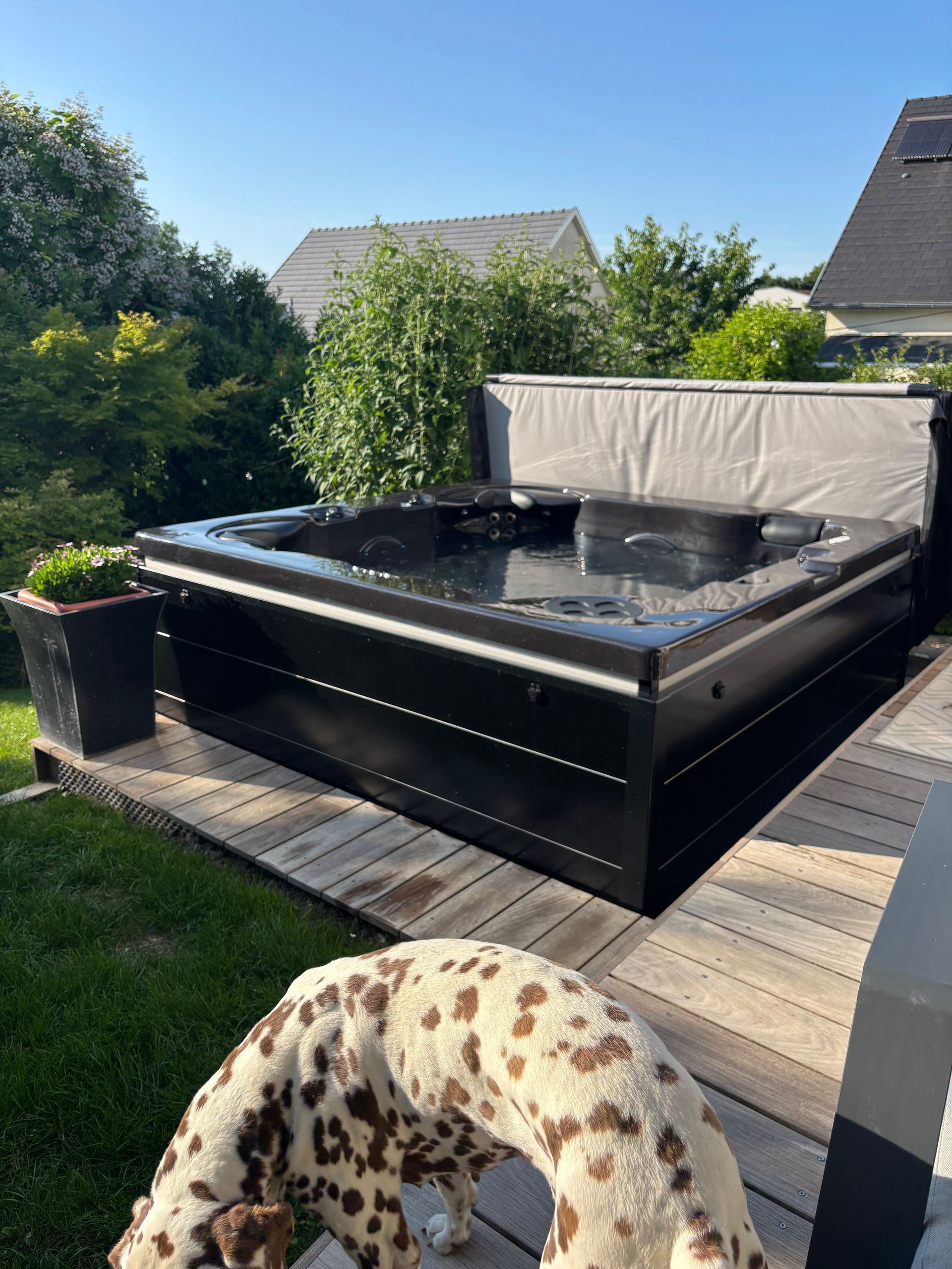 Un jacuzzi noir est posé sur une terrasse en bois à côté d'un chien dalmatien.