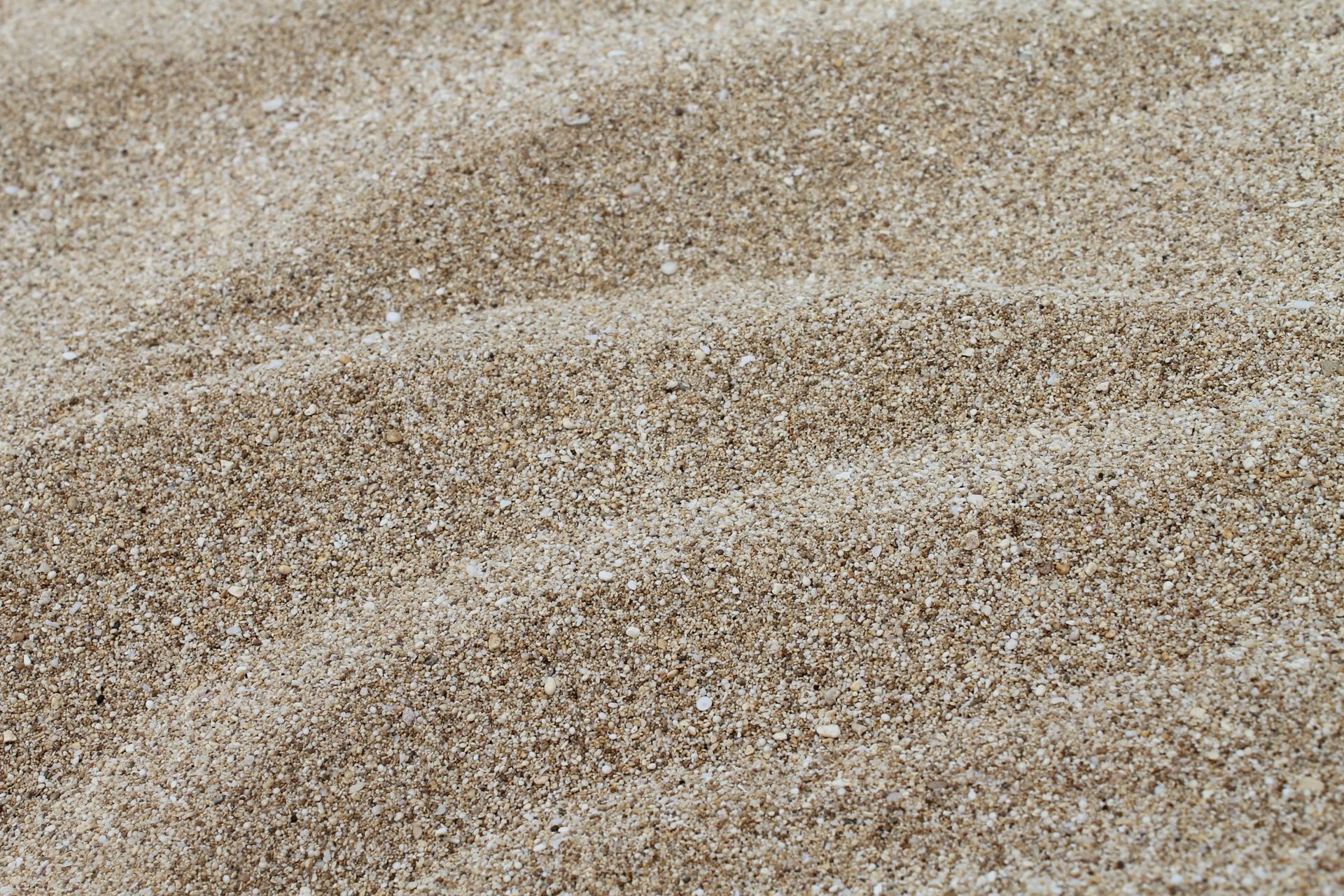 A close up of a pile of sand on a beach.
