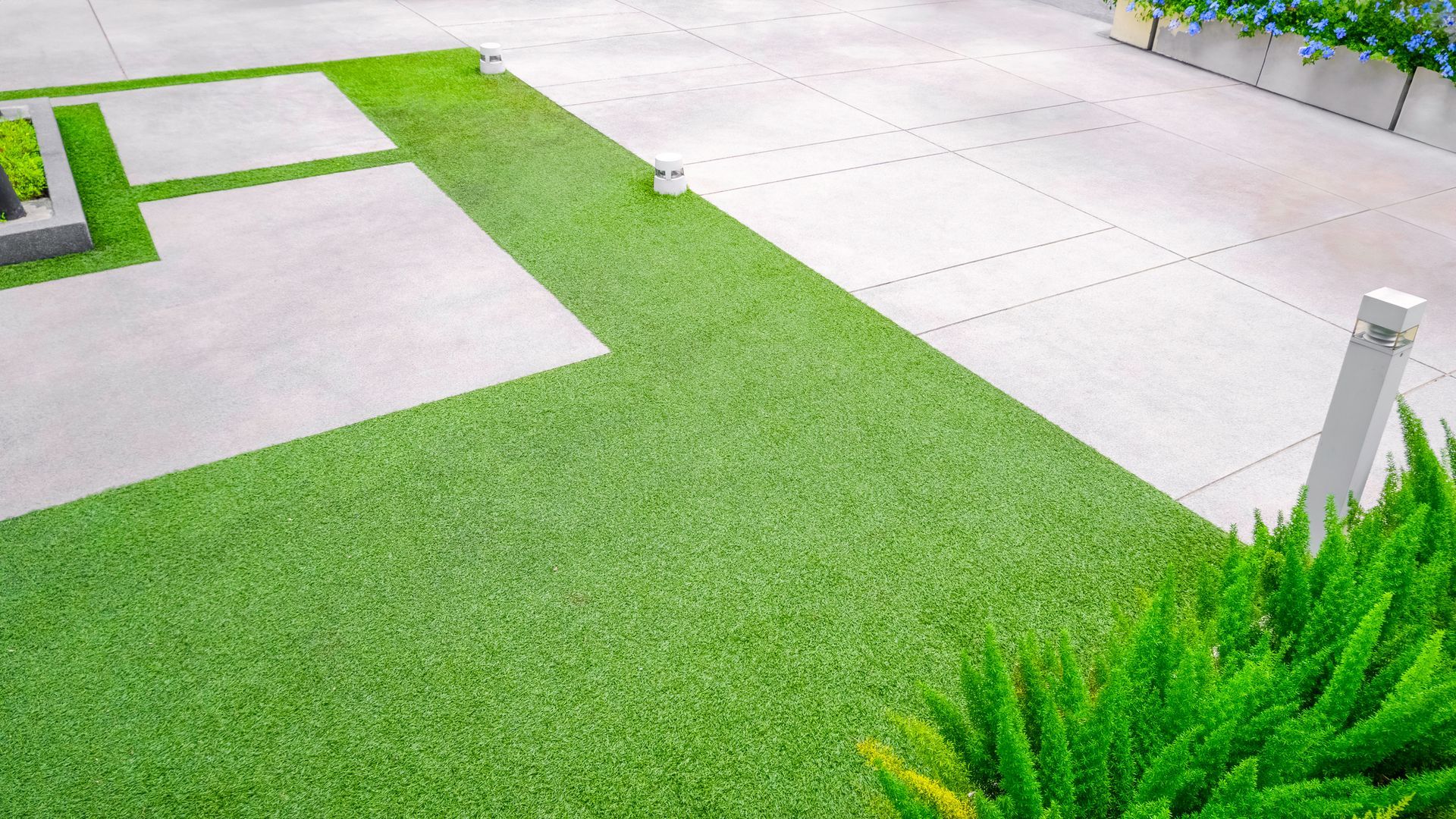 A lawn with a lot of green grass and a concrete driveway.