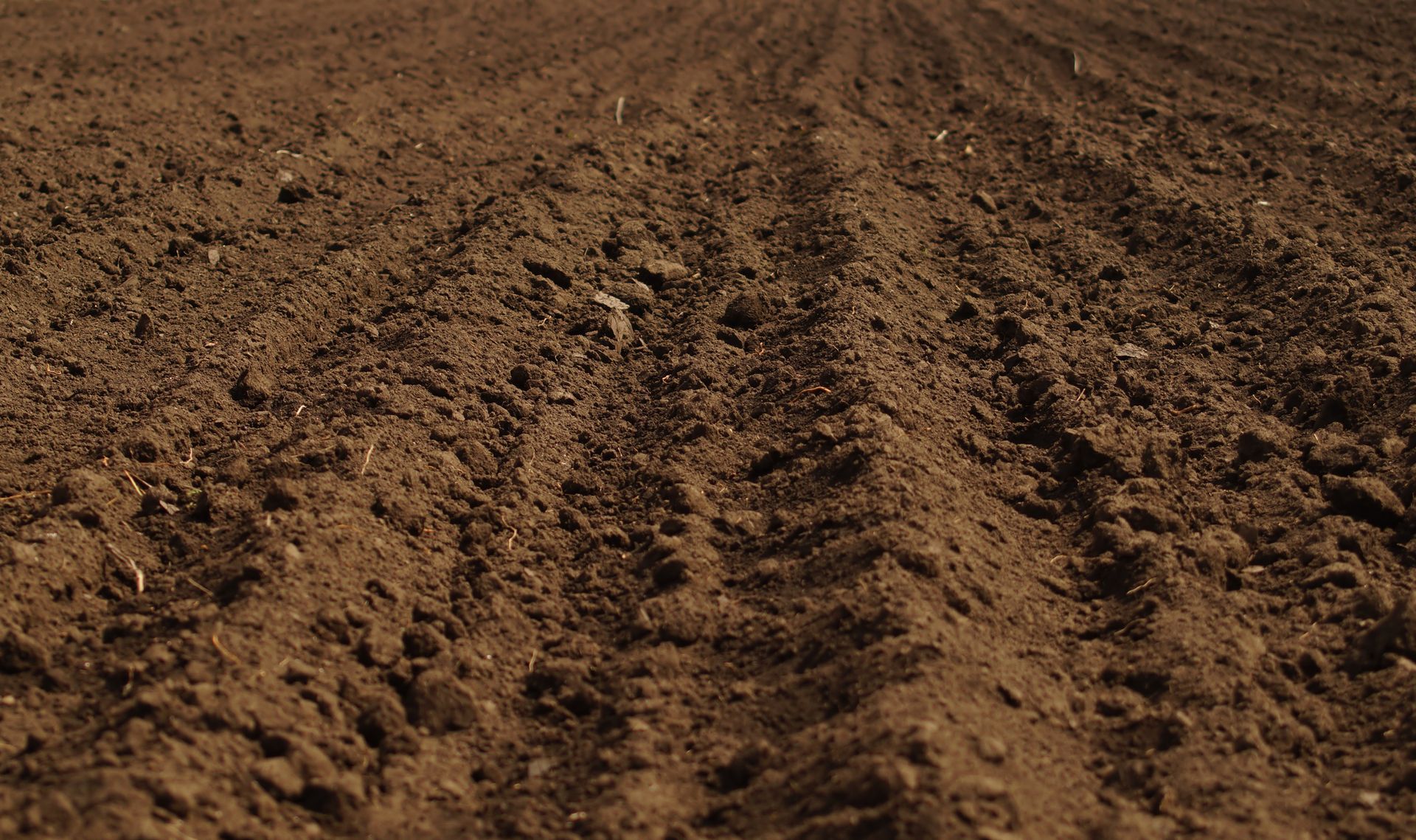 A close up of a dirt field with rows of dirt.