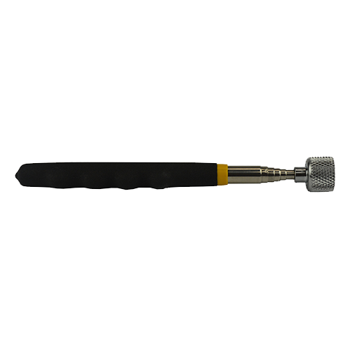 Shell Magnet