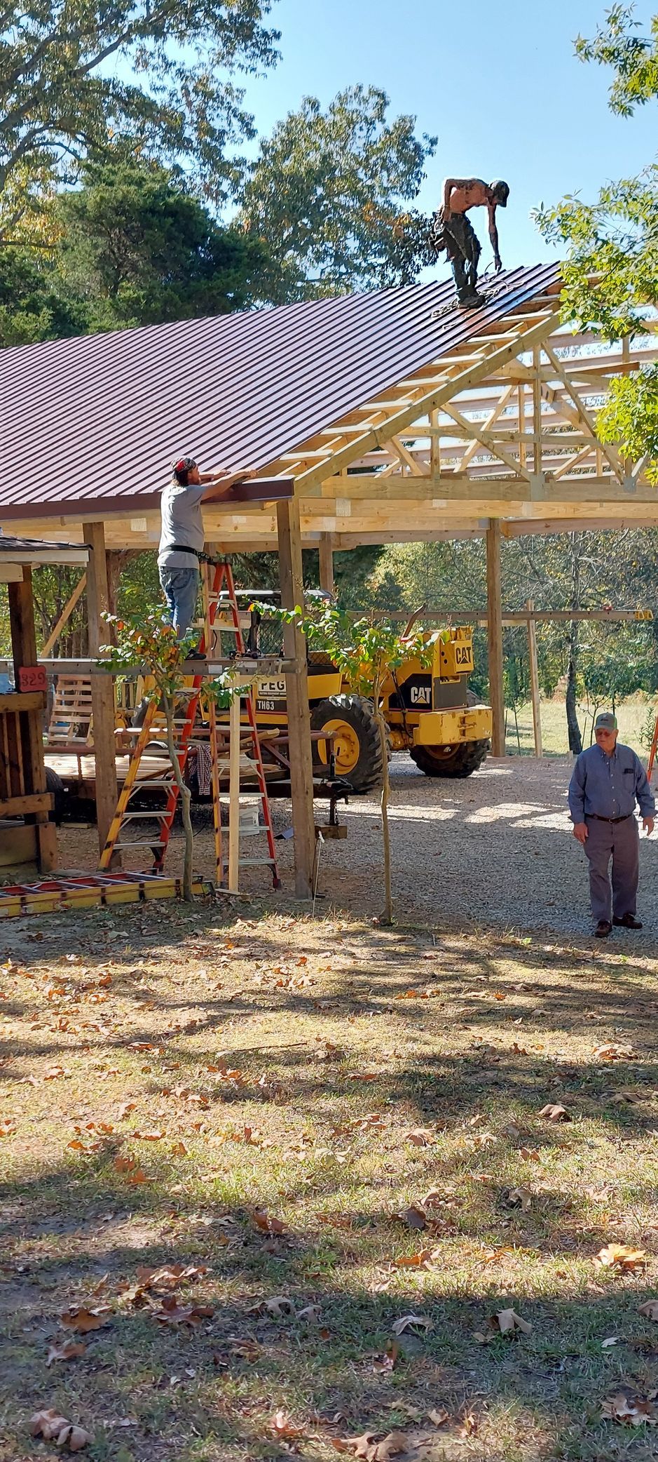 Person on a ladder fixing a red metal roof on an open pavilion with chickens below