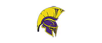 Yellow and purple Trojan helmet.