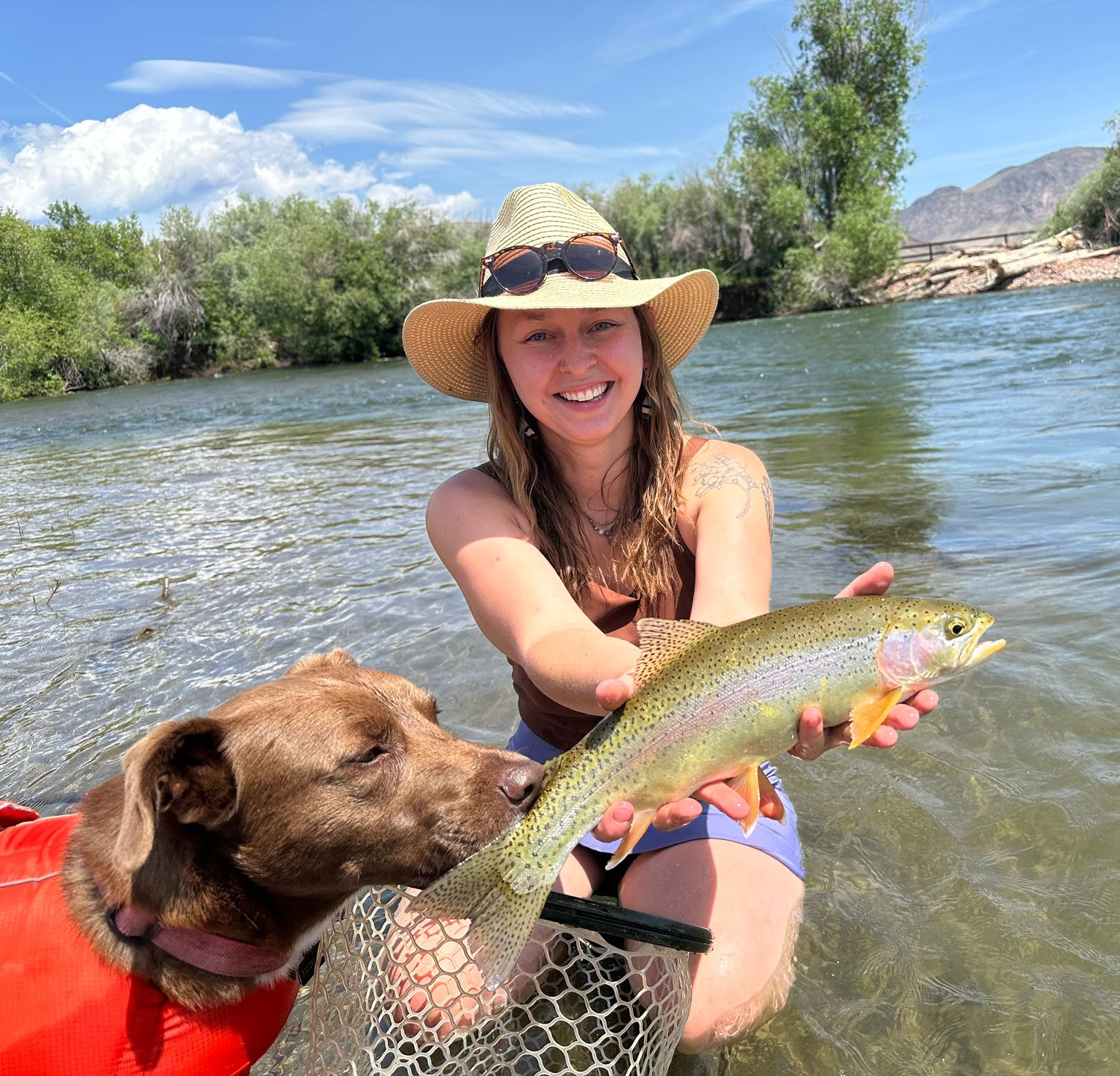 Trout Fishing Trips