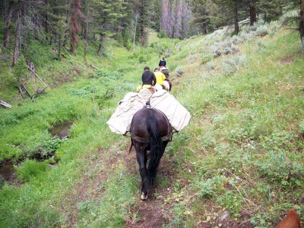 Packing in with Rawhide Outfitters