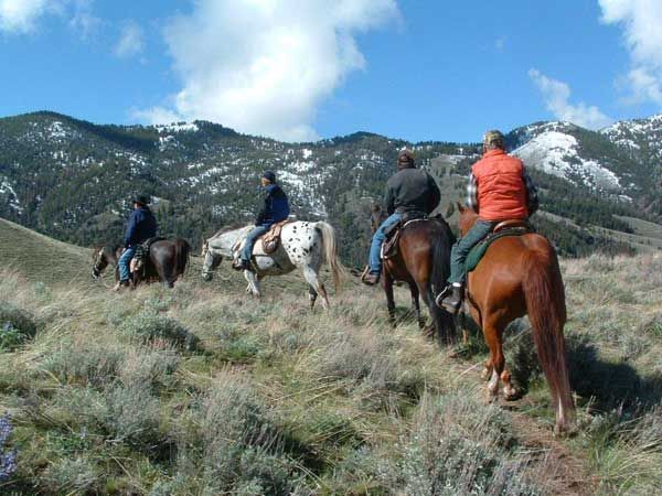 Beautiful day to horseback ride in Idaho