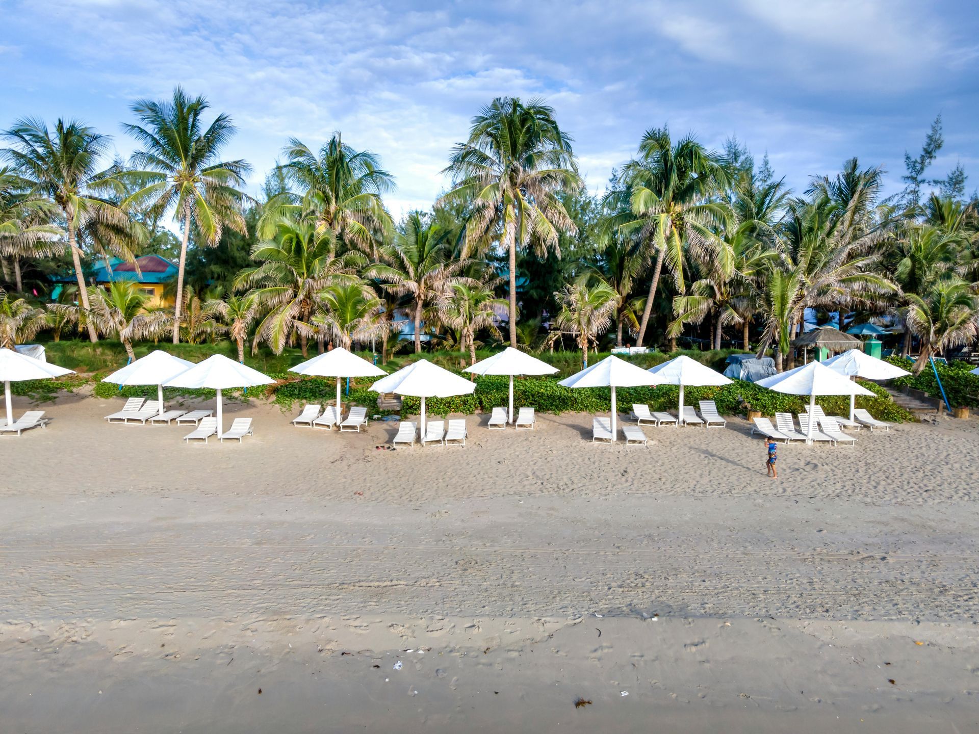 A row of white beach umbrellas lined up on a sandy shore in front of palm trees under a bright blue sky.