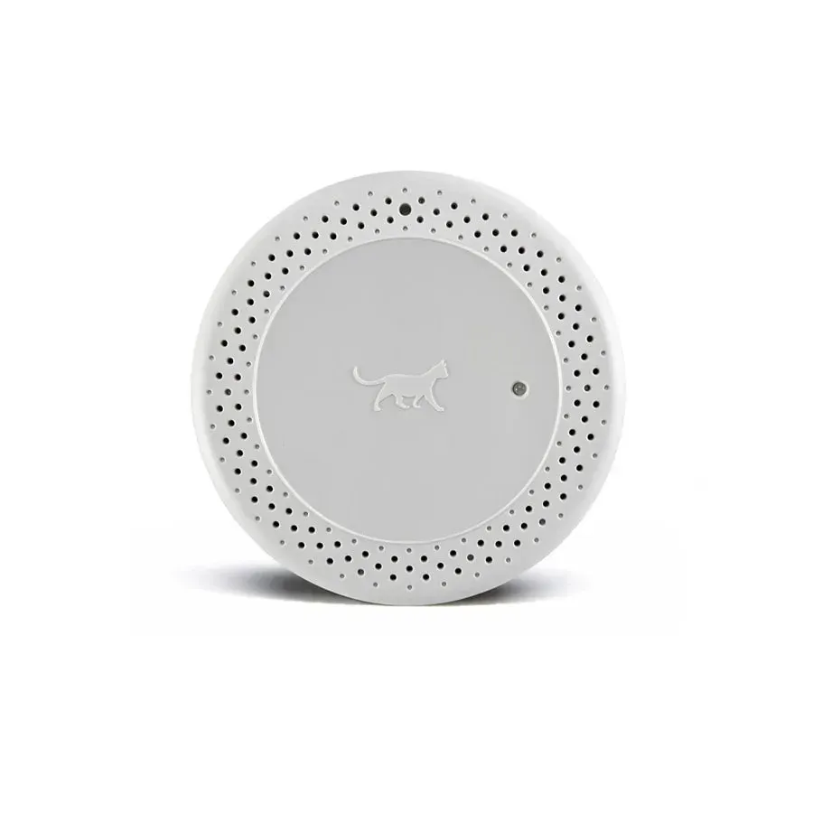 A white circle with holes in it and a cat on it.