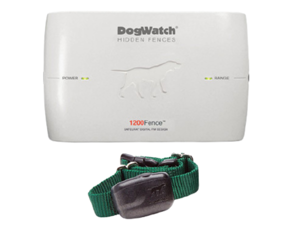 A dog watch hidden fence with a green collar