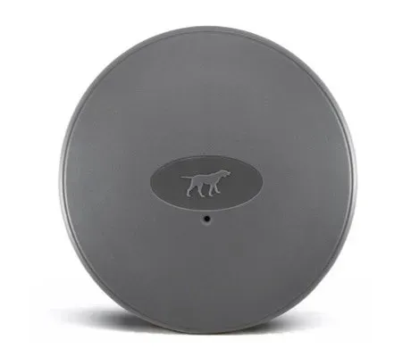 A gray circle with a dog on it on a white background.