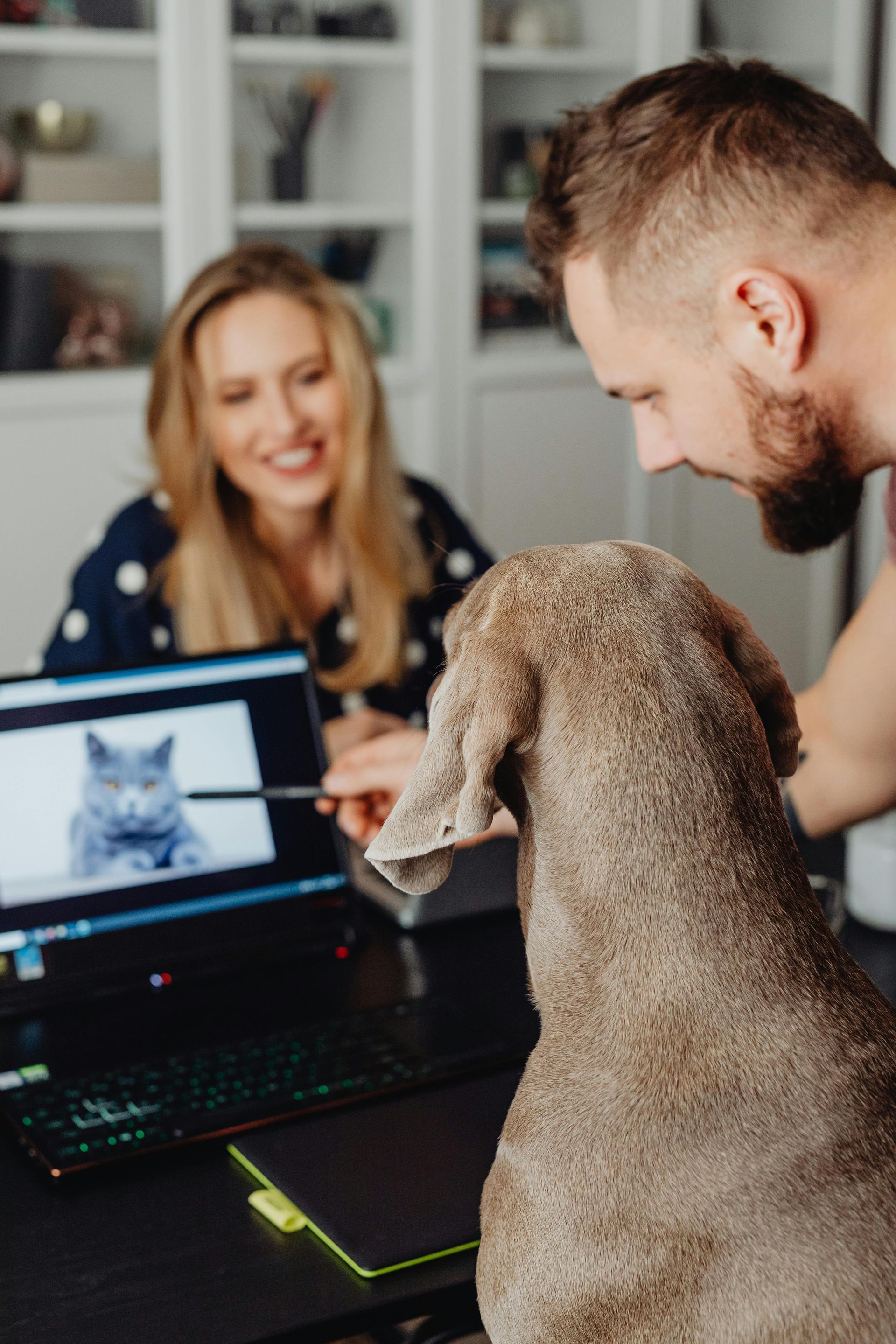 A man and a woman are sitting at a table with a dog looking at a laptop.