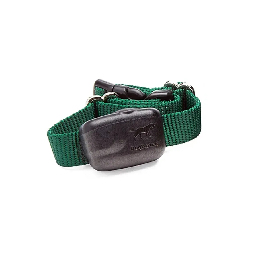 A green DogWatch collar