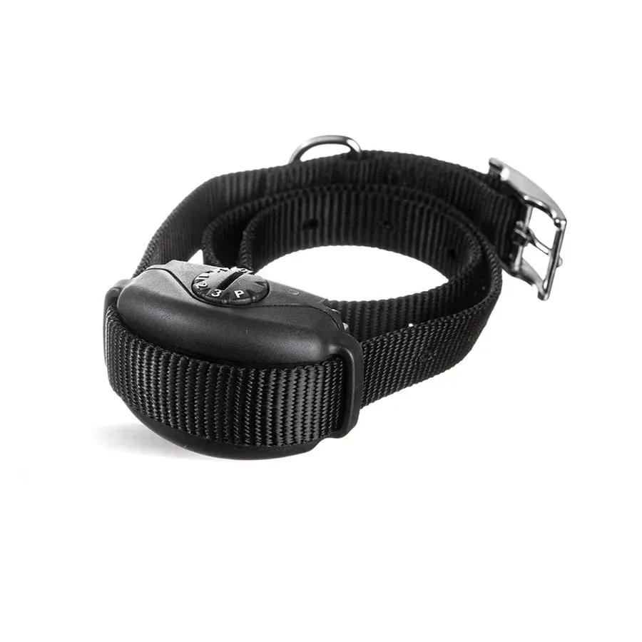 A black DogWatch collar