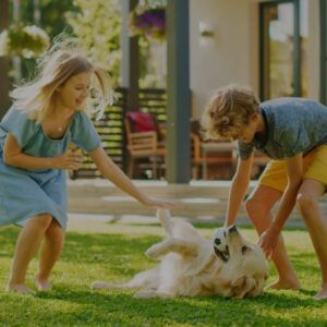 Fences Boost Pets Happiness
