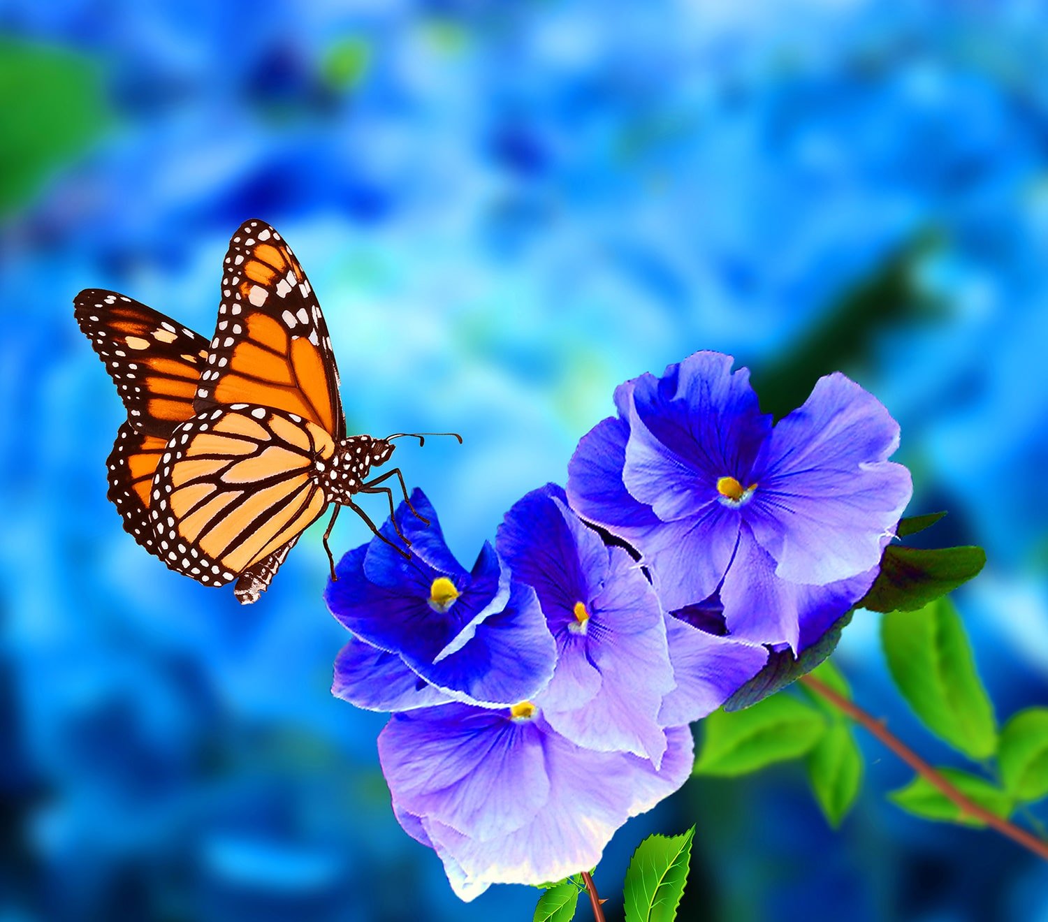 Clinton Funeral Home Cold Spring, NY