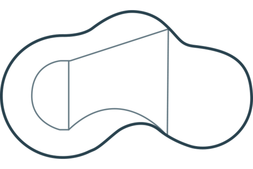 Humpback Kidney