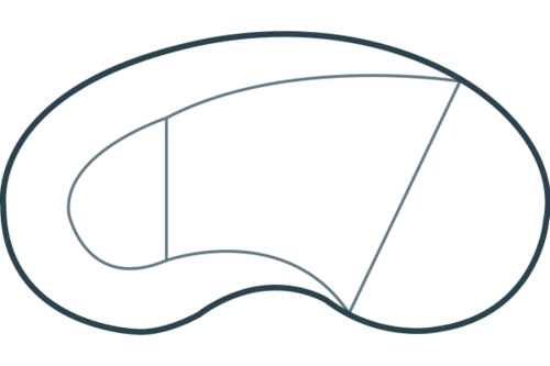 Kidney