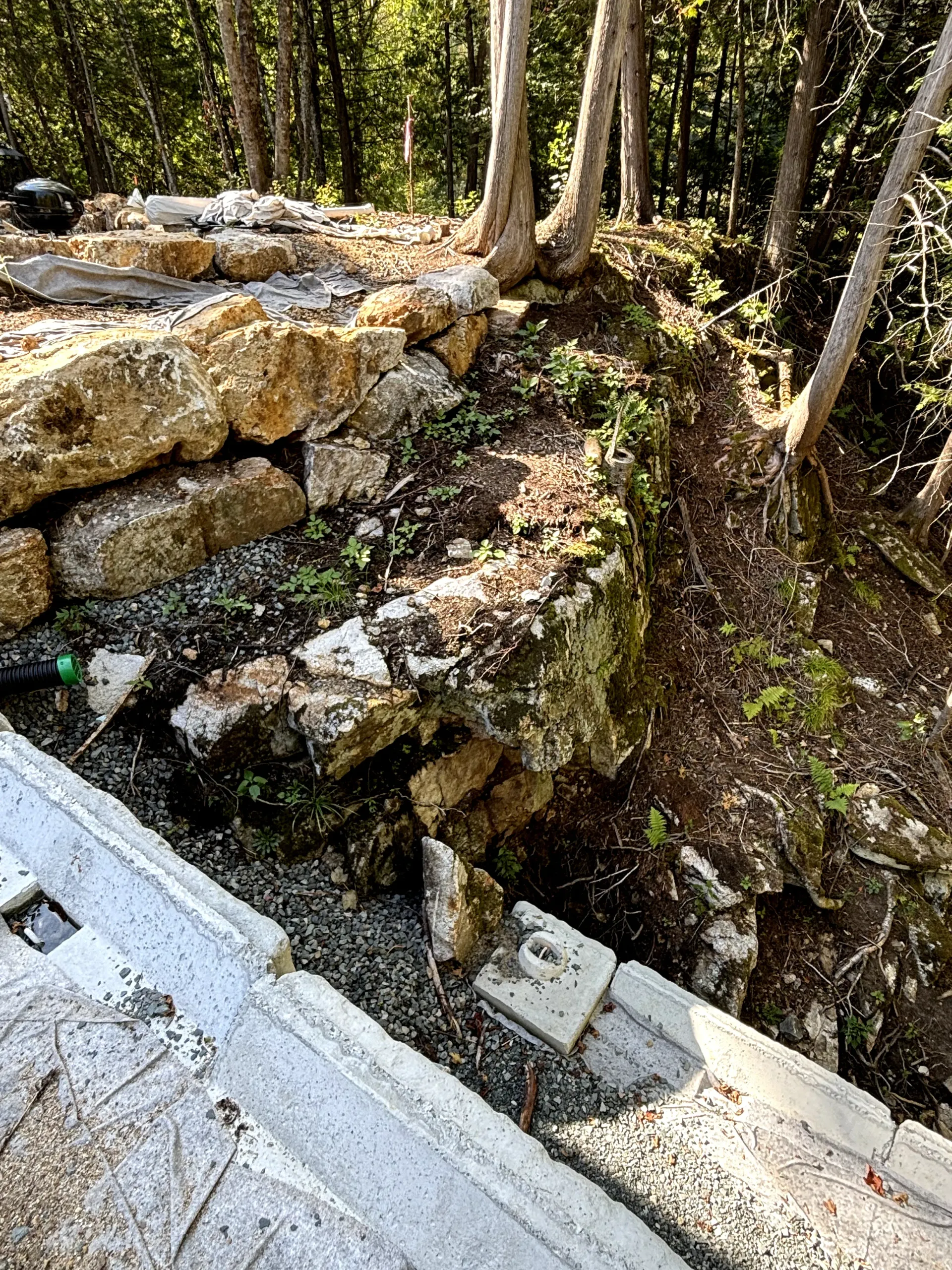 Stone retaining wall beside a wooded slope with exposed roots and a white paved edge in the foreground