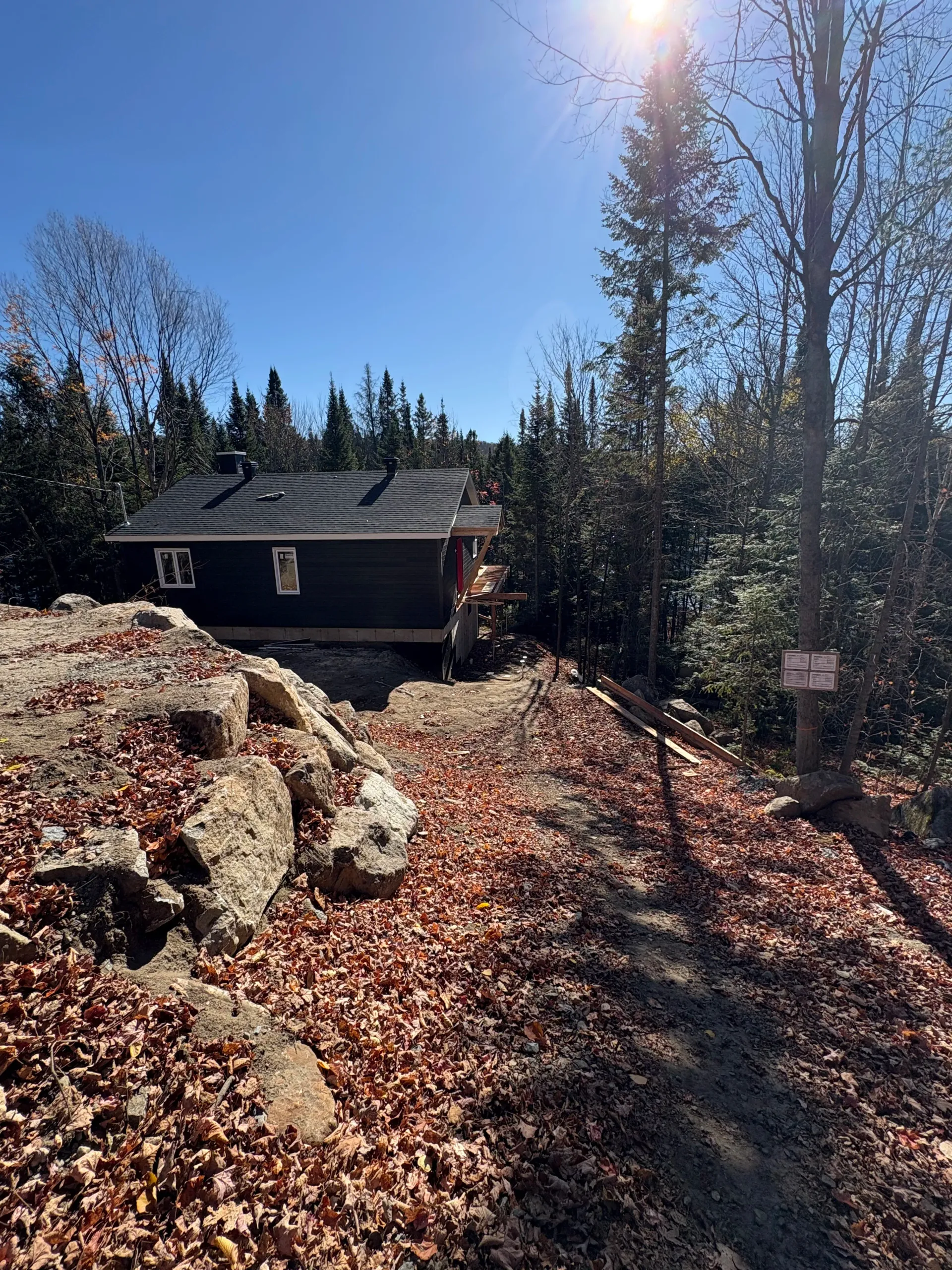 Small dark cabin in a sunlit forest, with rocks in the foreground and autumn leaves on the ground