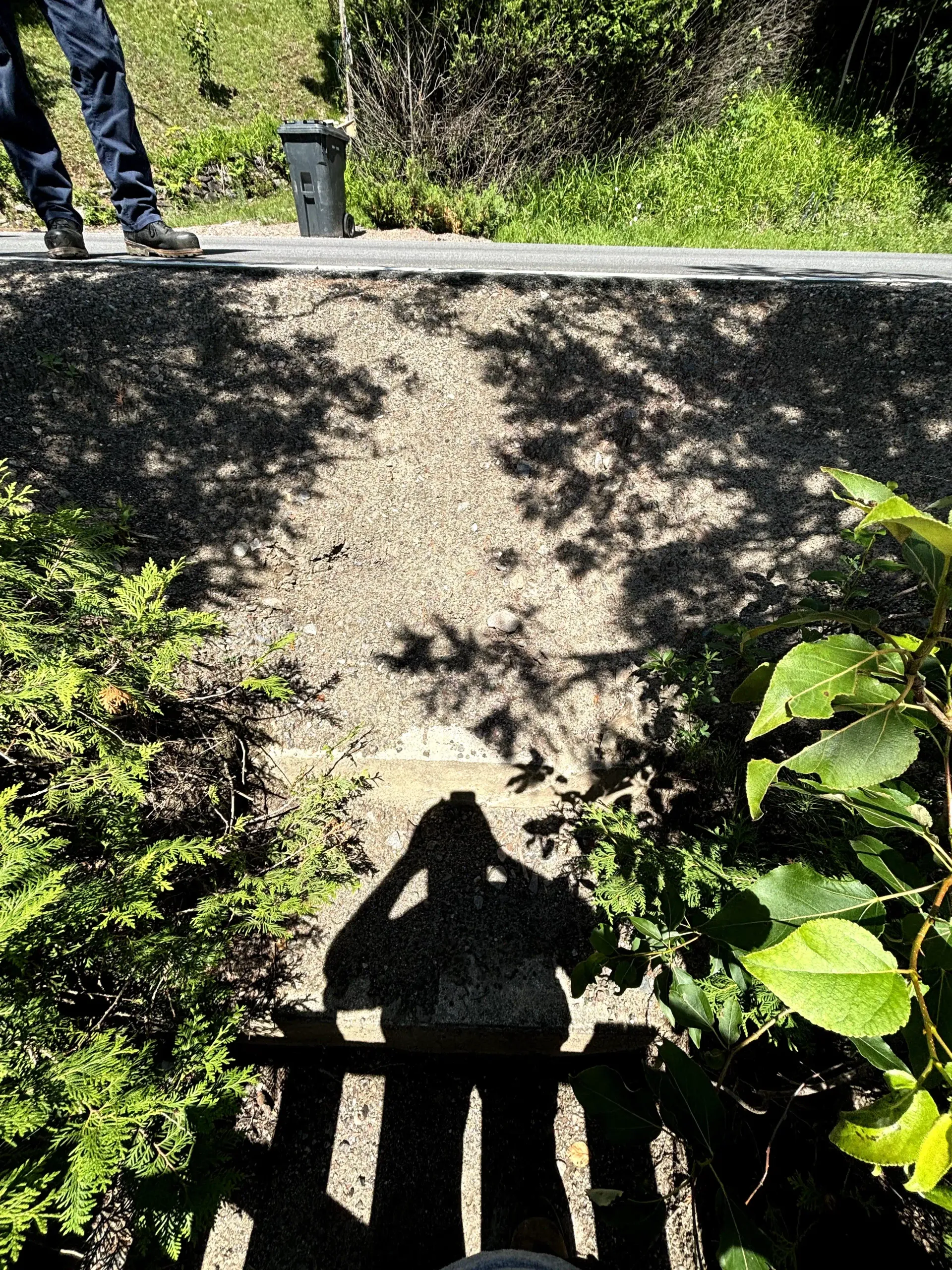 Sunny trail with a shadowed wooden bridge over a small ravine and greenery around it