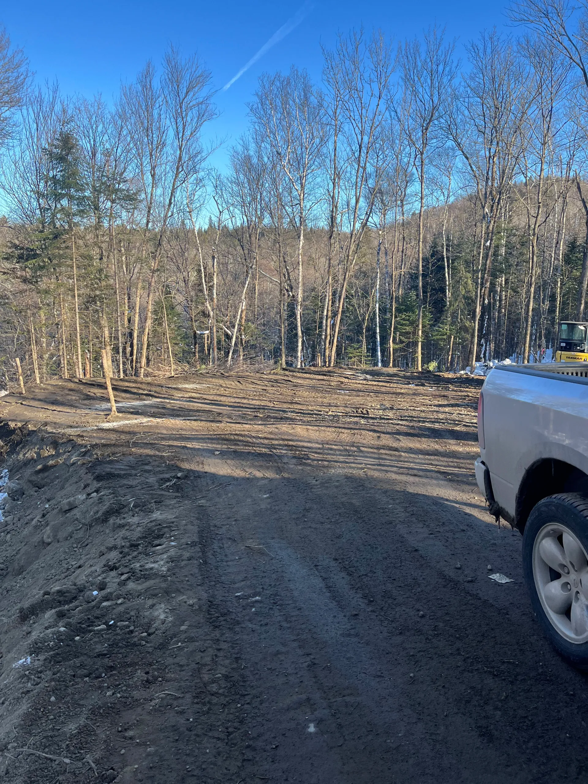 Gravel road beside leafless trees under a clear blue sky, with the front of a silver truck at right.