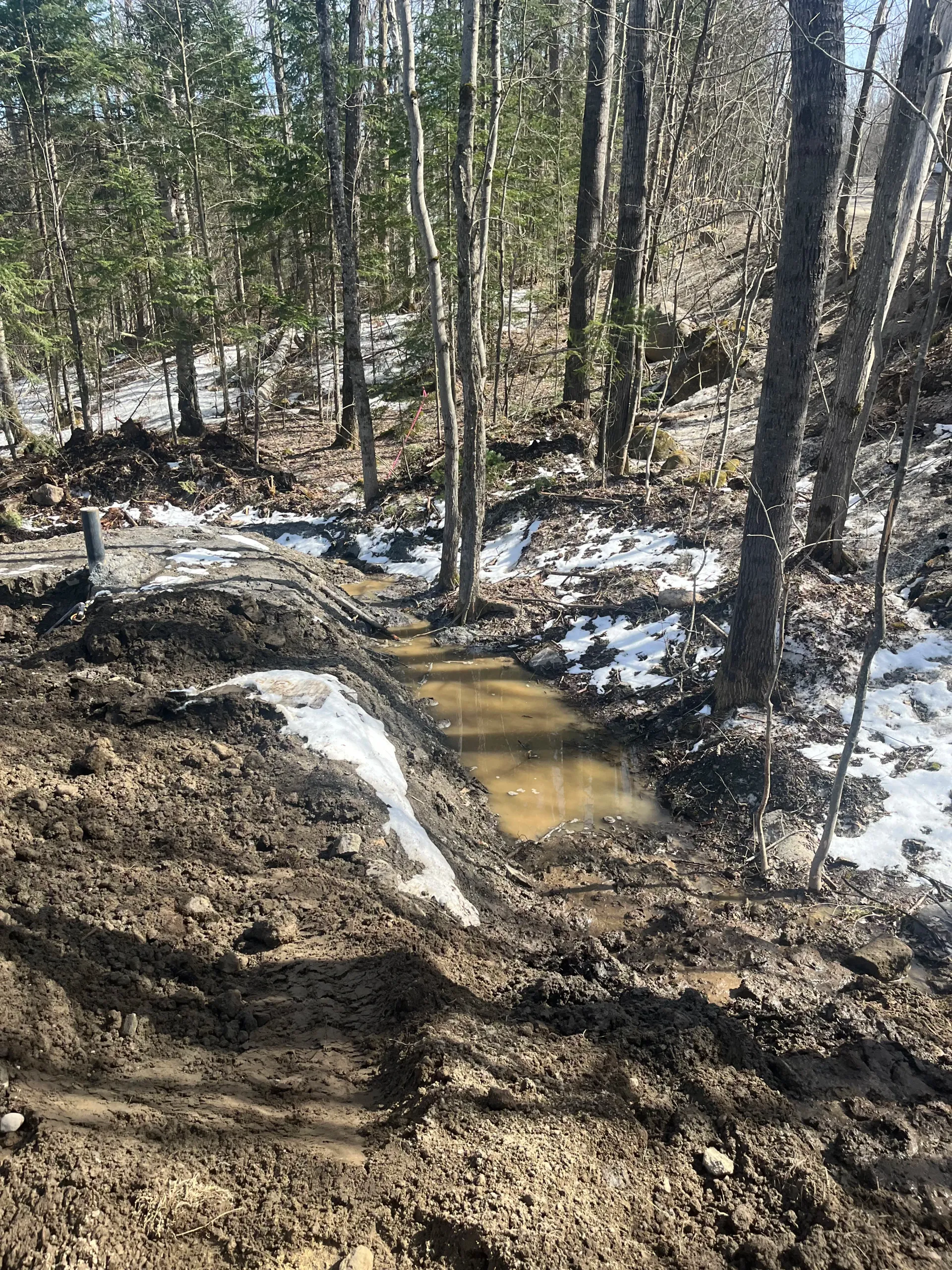 Muddy forest trail with snow patches and a shallow stream crossing through leafless trees