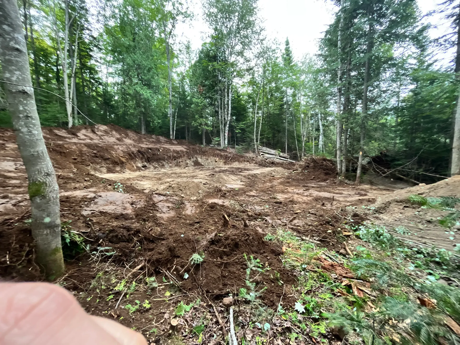 Cleared forest hillside with exposed brown soil, surrounded by green trees and brush