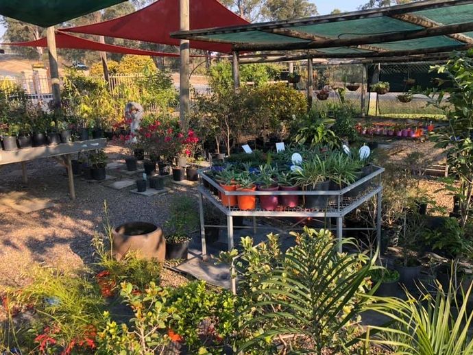 A Garden Filled With Lots of Potted Plants and Flowers — Golden City Brick & Landscape in Gympie, QLD
