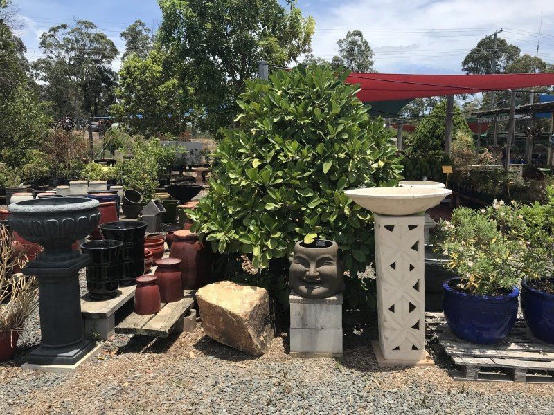 A Bunch of Potted Plants Are Sitting on the Ground in a Garden — Golden City Brick & Landscape in Gympie, QLD