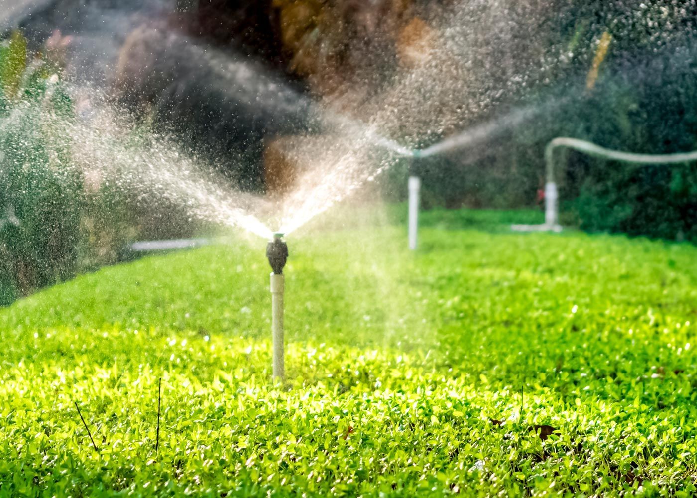Sprinklers Spraying Water On Green Lawn — LaSalle, ON — Yard-Worx Sprinklers Spraying Water On Green Lawn — LaSalle, ON — Yard-Worx