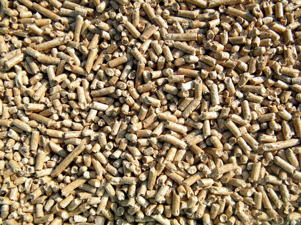 Vendita pellet a Piedimulera, Verbania, Domodossola, Omegna, Gravellona Toce