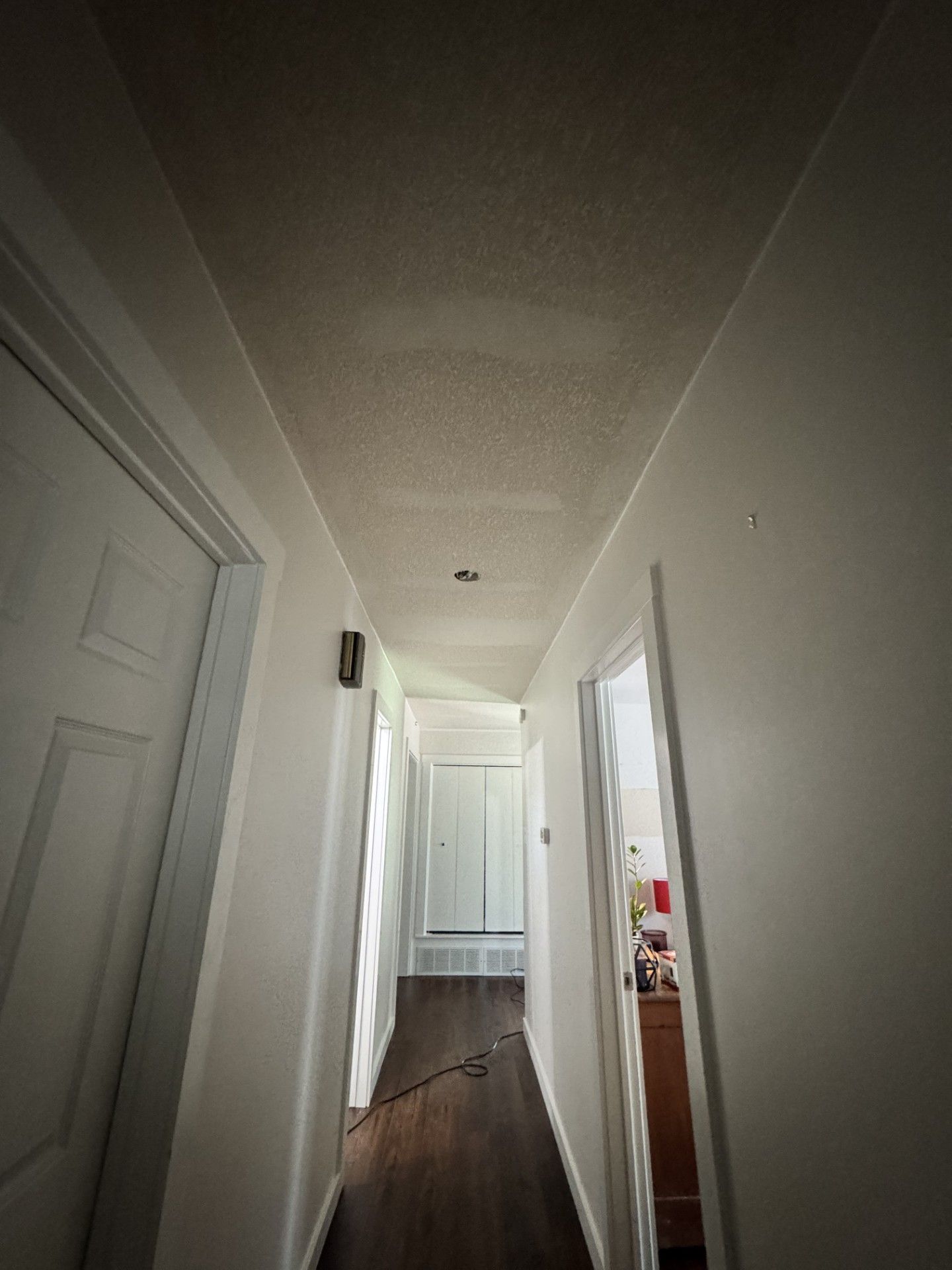 Narrow hallway with white walls, ceiling lights, and wooden floor leading to a closed door.