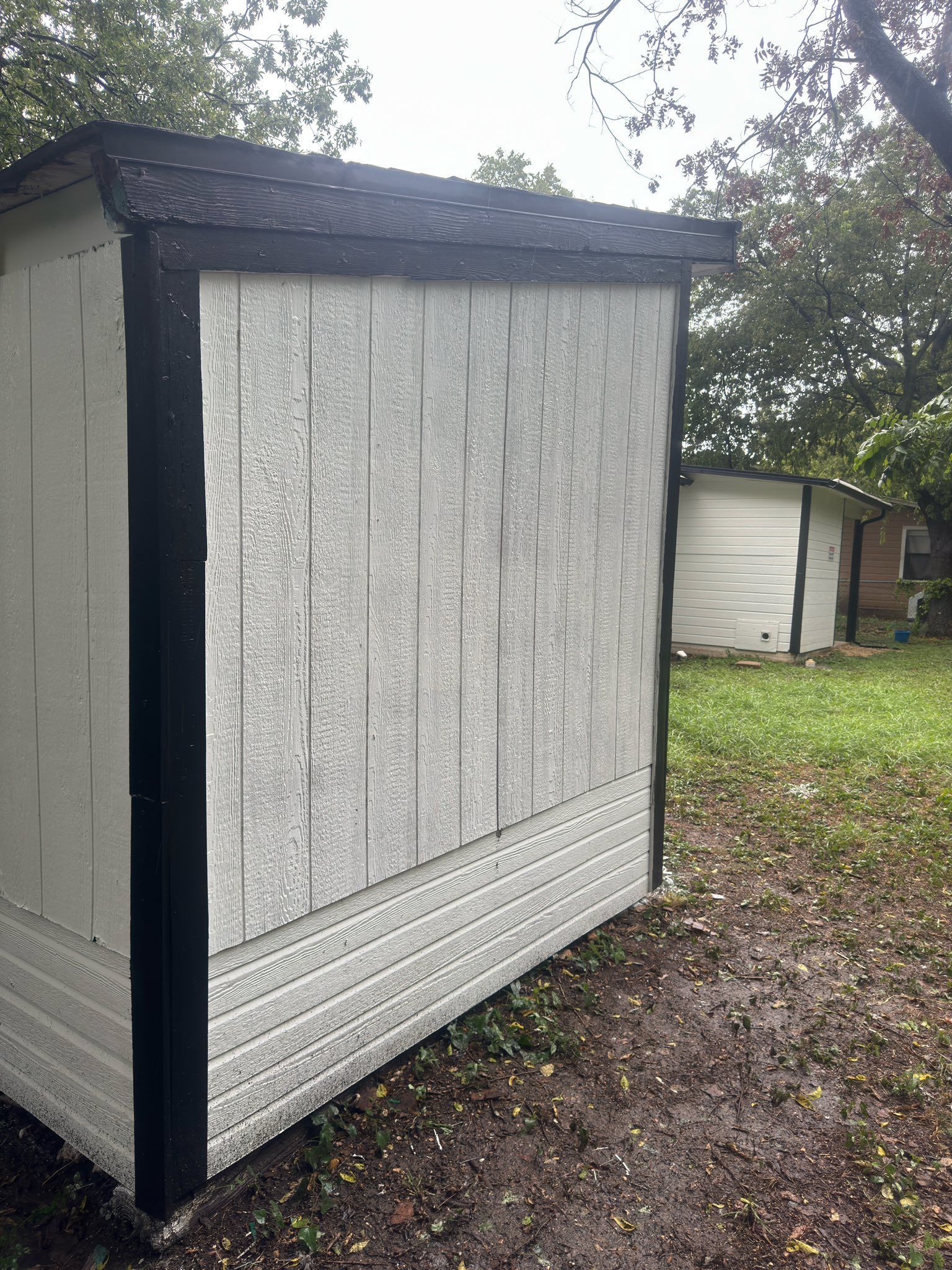 Small shed with white siding and black trim in a backyard with trees and grass