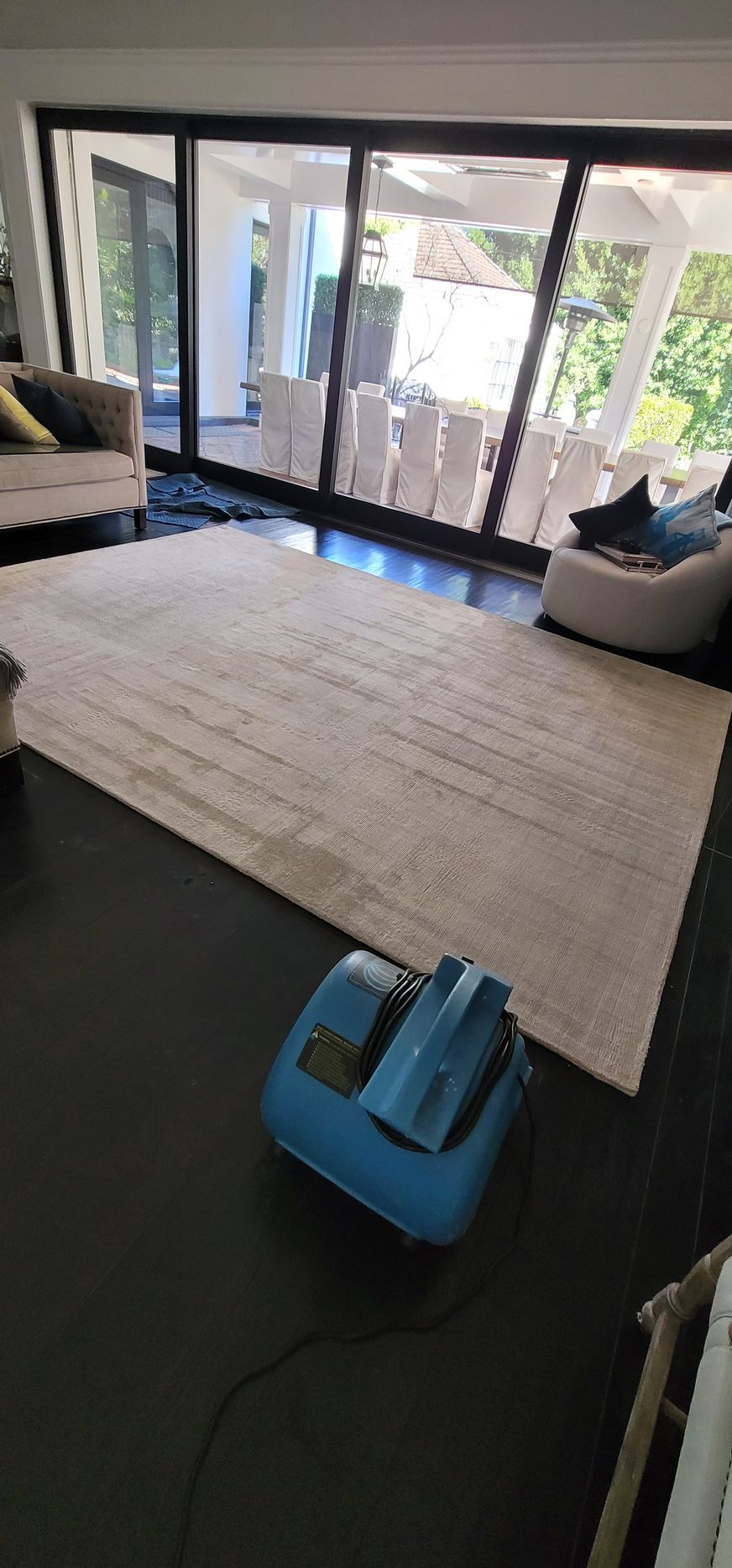 Living room with sliding glass doors, large white rug, and a blue vacuum cleaner in the foreground