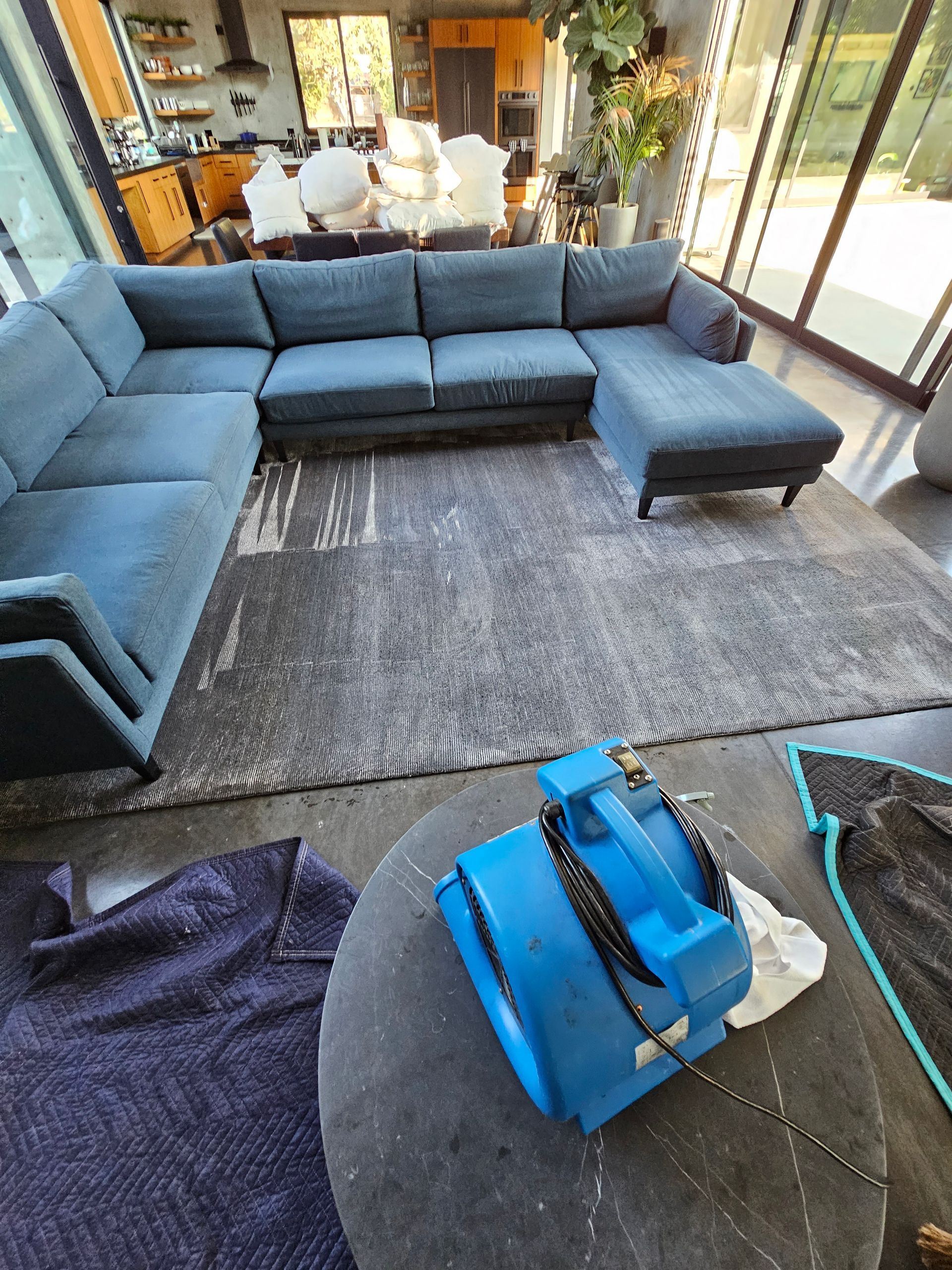 Professional couch cleaning service in Sylmar CA
