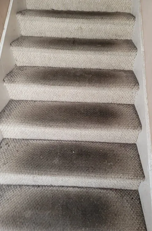 Carpeted staircase with dark stains on several steps