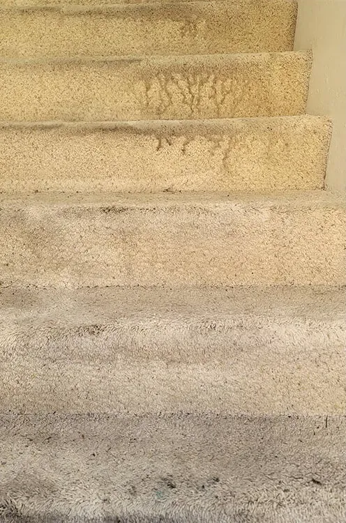 Beige carpeted stairs with visible dirt and stains near the top steps