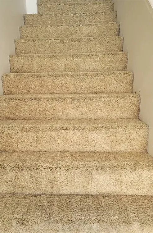 Carpeted indoor staircase with beige steps and white walls