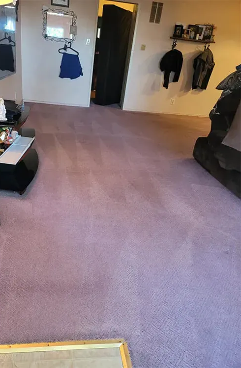 Empty carpeted living room with wall hooks, coats, and a doorway in the back.