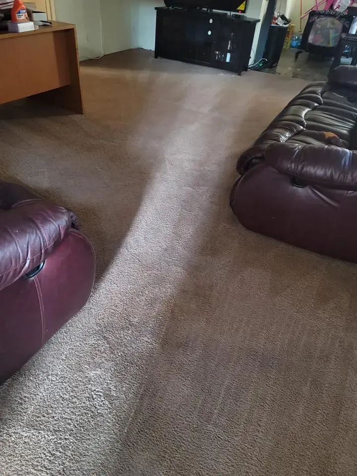 Carpeted living room with leather sofas, a wooden side table, and a TV stand against the far wall.